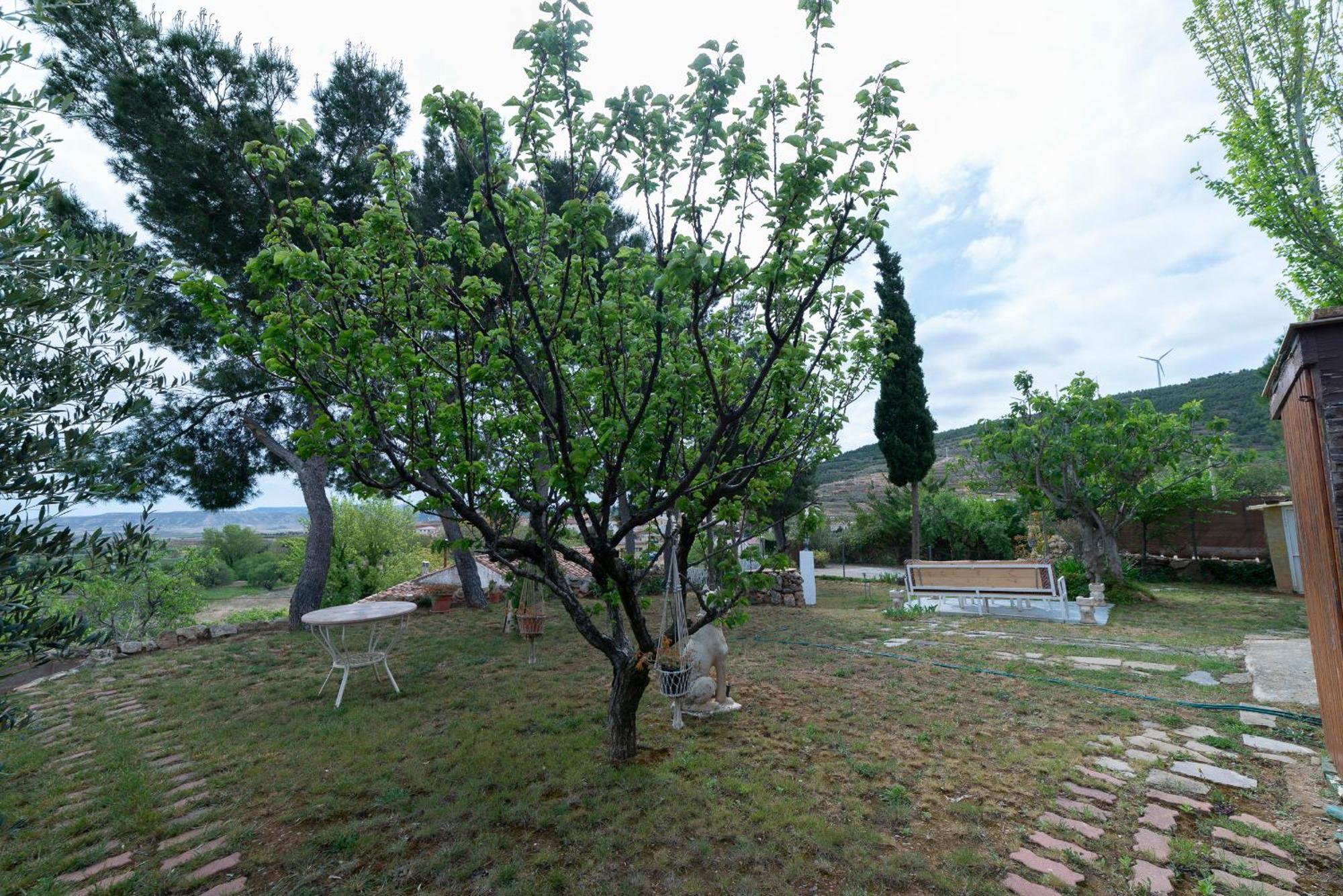 Вилла Gran Casa Rural Al Aire Libre En Грисель Экстерьер фото